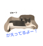 陽気なブリトニー＆おてんばサブリナ 3（個別スタンプ：16）