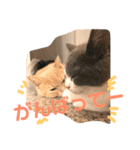 陽気なブリトニー＆おてんばサブリナ 3（個別スタンプ：17）