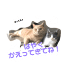 陽気なブリトニー＆おてんばサブリナ 3（個別スタンプ：21）