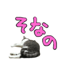 イチ君とリョーマ君のヤツ（個別スタンプ：7）