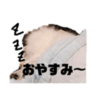 ちぇりちゃんスタンプ（個別スタンプ：3）
