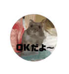 ちぇりちゃんスタンプ（個別スタンプ：5）