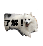 ちぇりちゃんスタンプ（個別スタンプ：7）