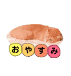 よーさん家のにゃんこ（個別スタンプ：4）