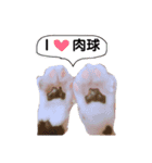 よーさん家のにゃんこ（個別スタンプ：14）