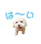 ラフのひとこと②（個別スタンプ：1）
