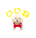 ラフのひとこと②（個別スタンプ：3）