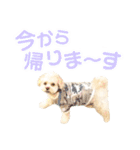 ラフのひとこと②（個別スタンプ：5）