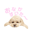 ラフのひとこと②（個別スタンプ：6）
