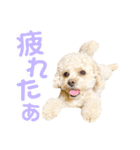 ラフのひとこと②（個別スタンプ：7）