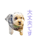 ラフのひとこと②（個別スタンプ：8）