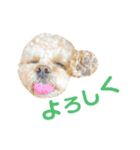 ラフのひとこと②（個別スタンプ：10）