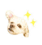 ラフのひとこと②（個別スタンプ：12）