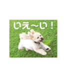 ラフのひとこと②（個別スタンプ：13）