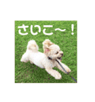 ラフのひとこと②（個別スタンプ：14）