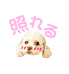 ラフのひとこと②（個別スタンプ：18）
