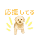 ラフのひとこと②（個別スタンプ：19）