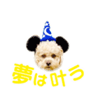 ラフのひとこと②（個別スタンプ：20）