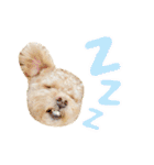 ラフのひとこと②（個別スタンプ：23）
