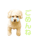 ラフのひとこと②（個別スタンプ：28）