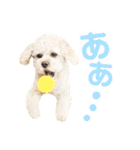 ラフのひとこと②（個別スタンプ：29）