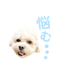 ラフのひとこと②（個別スタンプ：30）