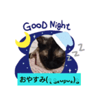 むぅのあいさつ（個別スタンプ：1）
