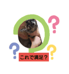むぅのあいさつ（個別スタンプ：3）