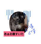 むぅのあいさつ（個別スタンプ：4）