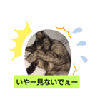 むぅのあいさつ（個別スタンプ：5）