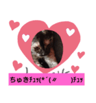 むぅのあいさつ（個別スタンプ：6）