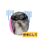 むぅのあいさつ（個別スタンプ：7）