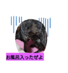 むぅのあいさつ（個別スタンプ：9）