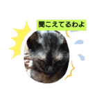 むぅのあいさつ（個別スタンプ：11）
