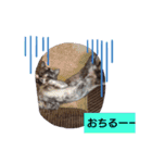 むぅのあいさつ（個別スタンプ：12）