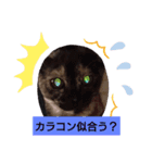 むぅのあいさつ（個別スタンプ：14）