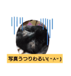 むぅのあいさつ（個別スタンプ：15）