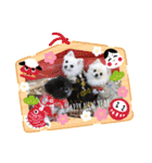モチハルクッキー2（個別スタンプ：12）