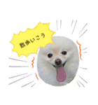 モチハルクッキー2（個別スタンプ：19）