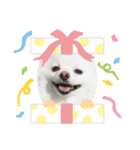 モチハルクッキー2（個別スタンプ：21）