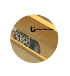 リリちゃんスタンプ2019（個別スタンプ：5）