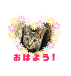 リリちゃんスタンプ2019（個別スタンプ：6）