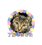 リリちゃんスタンプ2019（個別スタンプ：7）