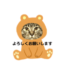 リリちゃんスタンプ2019（個別スタンプ：8）