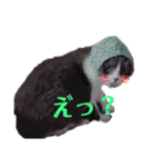 スコティッシュねこ   ひげまるくんの1日（個別スタンプ：4）