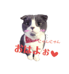 スコティッシュねこ   ひげまるくんの1日（個別スタンプ：7）
