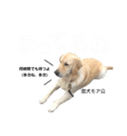 モアモアハッピーバレンタイン（個別スタンプ：8）