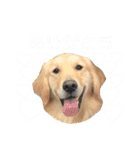 モアモアハッピーバレンタイン（個別スタンプ：10）