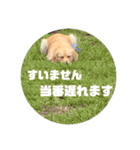 モアモアハッピーバレンタイン（個別スタンプ：17）