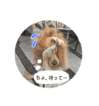 モアモアハッピーバレンタイン（個別スタンプ：23）